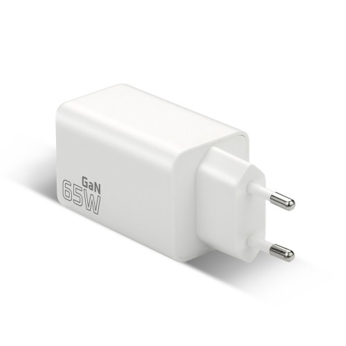 everActive GaN SC-655Q AC Charger