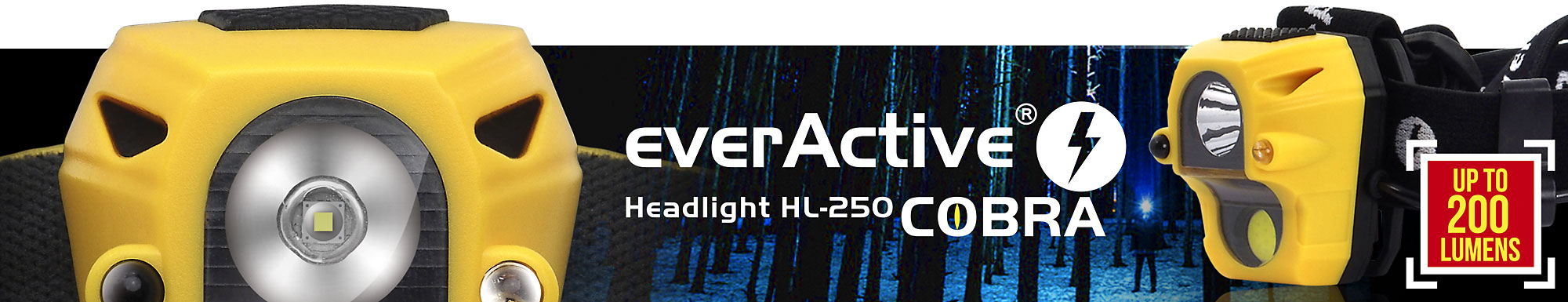 everActive HL-250 top